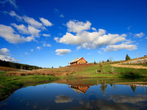 Image for the 2020 Domaine Divio Memorial Weekend event in the Ribbon Ridge AVA of the Willamette Valley, Oregon, showing the tasting room from the pond on the estate.