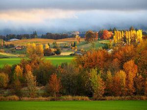 domaine-divio-anniversary-celebration-event-image-2026