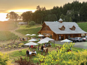 domaine-divio-summer-solstice-seafood-truck-event-image-june-2026